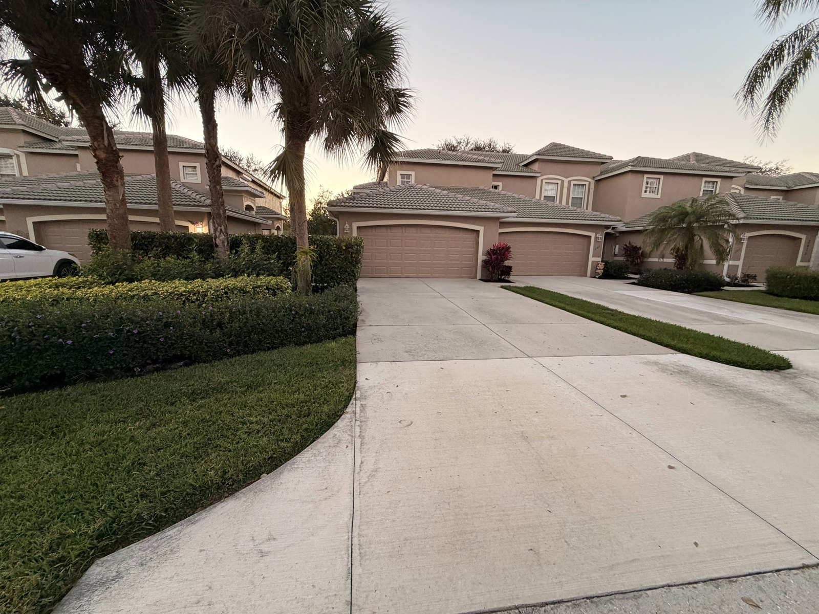 Palms and manicured hedges