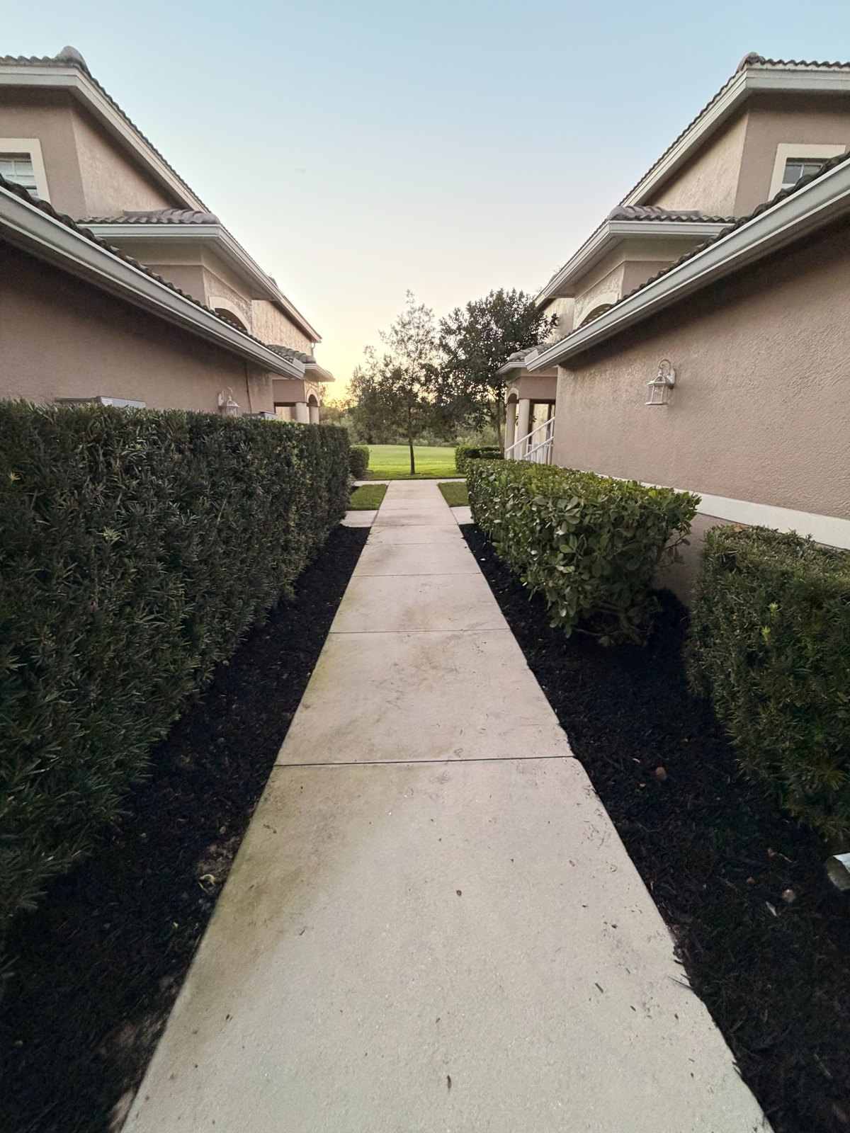 A neatly framed walkway