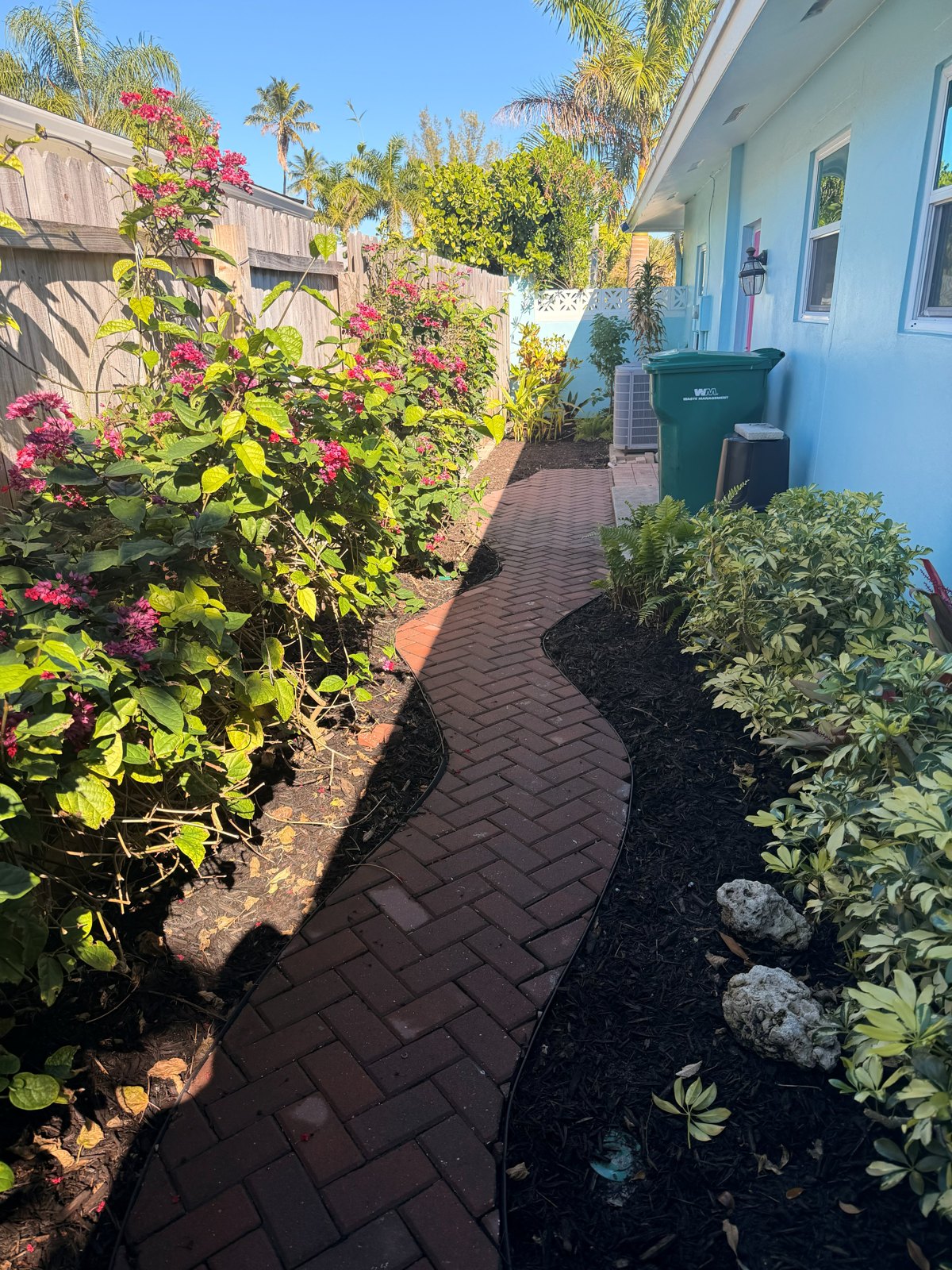 Color along the garden path